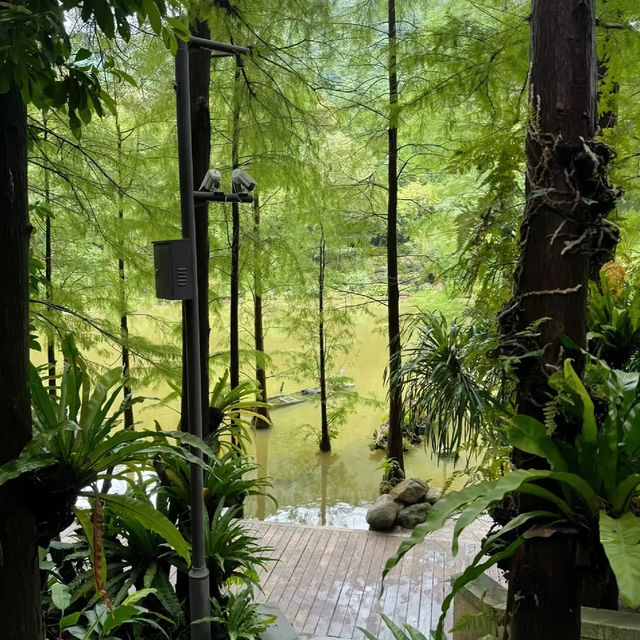 深圳仙湖植物園，陷入大自然的Love