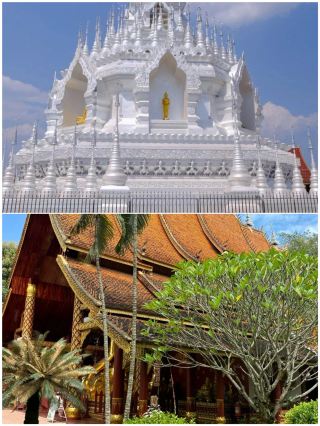 Back from Xishuangbanna, and here's the honest truth