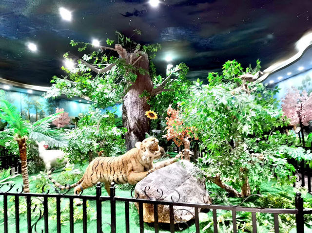 打卡莽山自然博物館