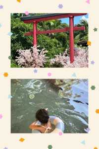 珠海浸溫泉旅遊攻略