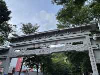 探秘「猴」趣天堂！深圳塘朗山公園與野生猴群奇遇記🐒🌳