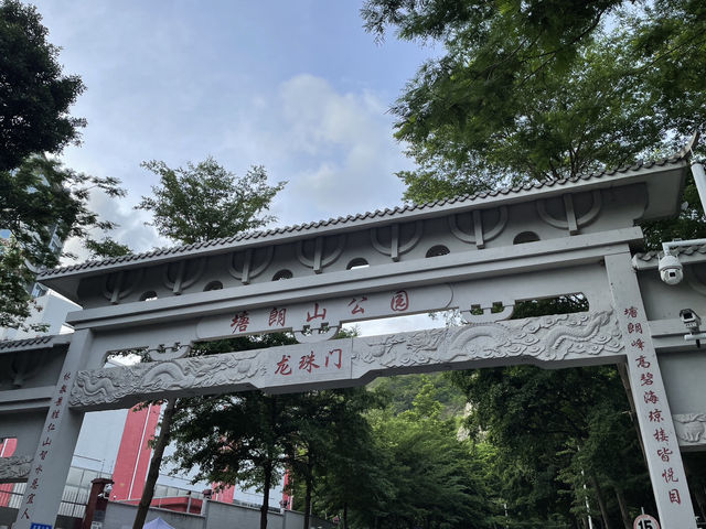 探秘「猴」趣天堂！深圳塘朗山公園與野生猴群奇遇記🐒🌳