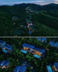 湖州·慧心谷 竹海茶園環繞嘅山景