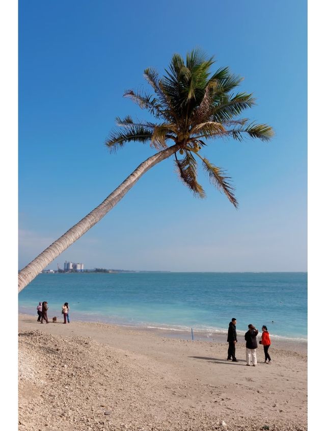 美哭了！瓊海私藏的牛奶海，堪稱夢幻天花板