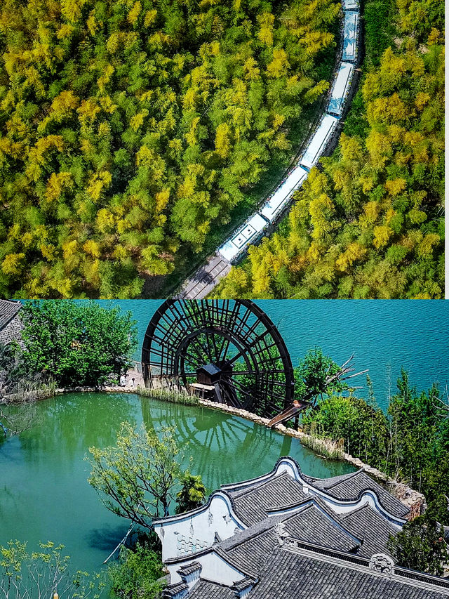 三月總要來一趟江浙滬，感受春和景明