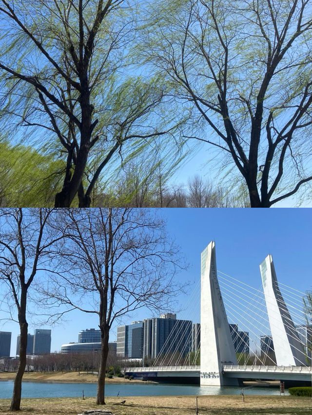 龍子湖