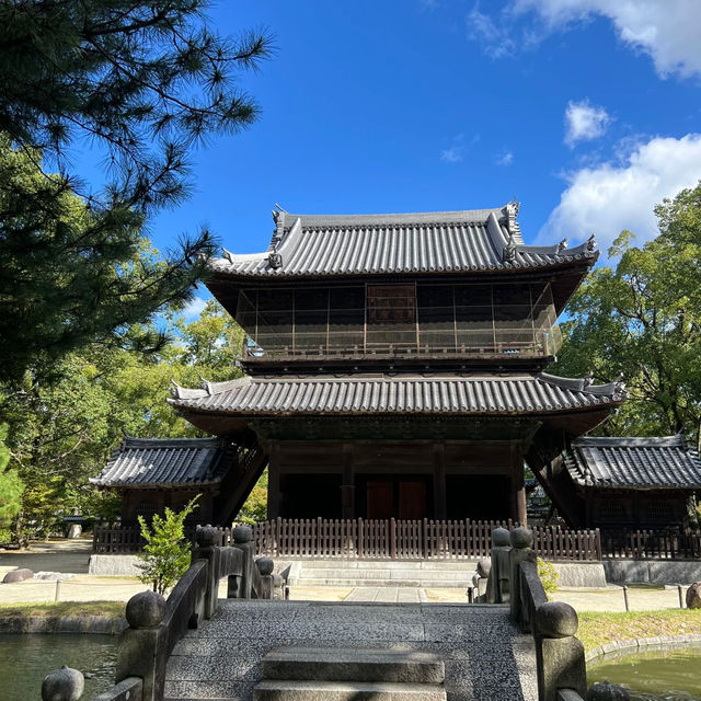 🌿【福岡聖福寺｜鬧市中靜藏千年的唐宋遺風】