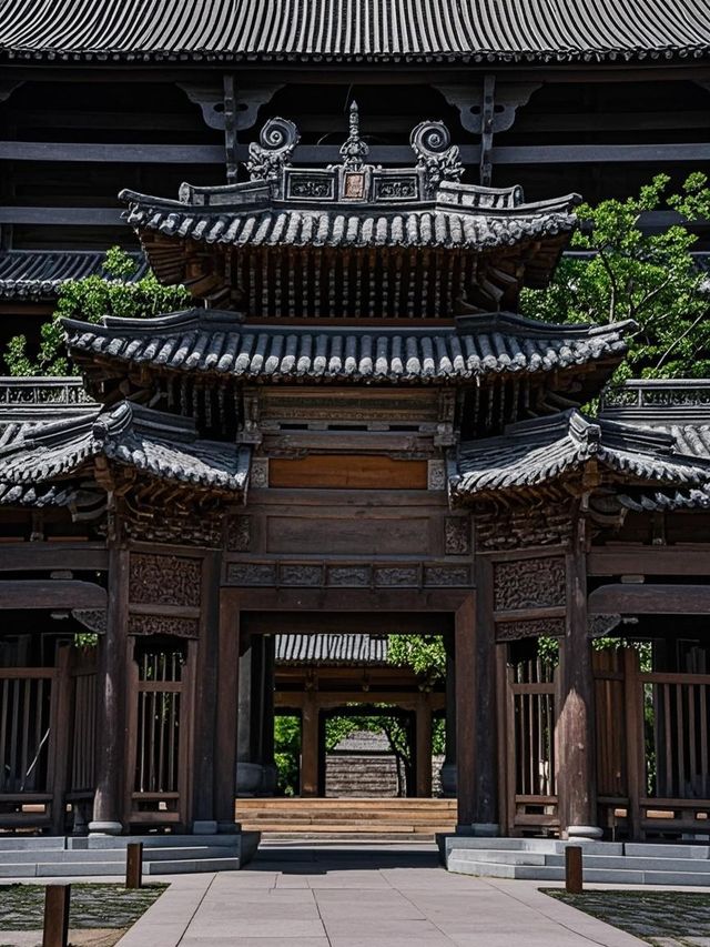 被古鎮綁架實錄！桐鄉這秘境讓娃3天不回家