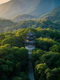 必看！南京旅遊超全不踩雷攻略