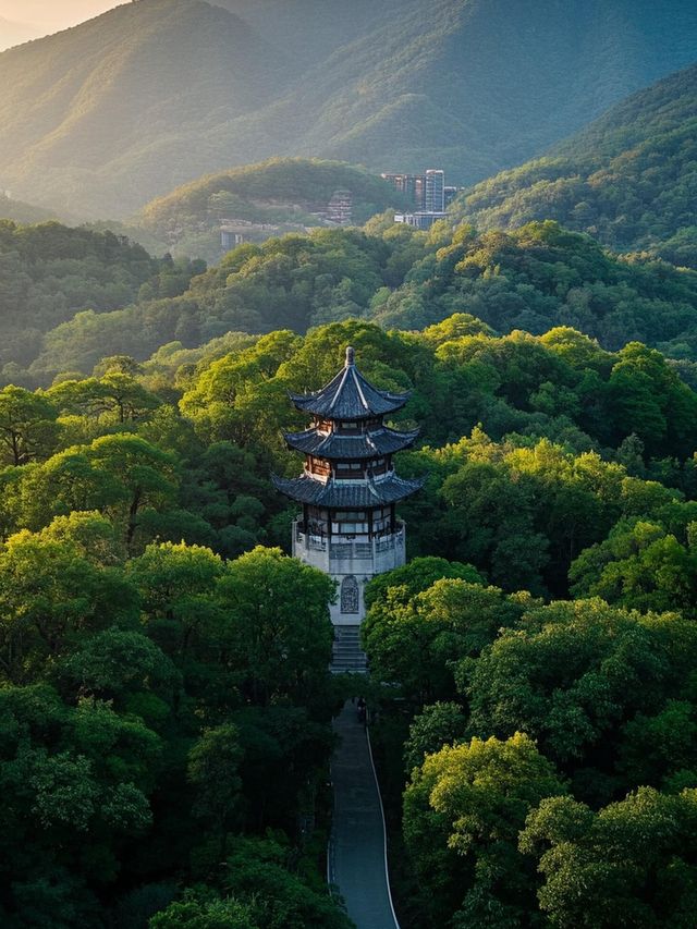 必看！南京旅遊超全不踩雷攻略