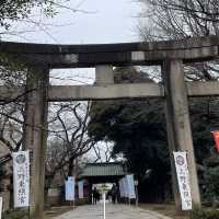 🌸東京上野公園新生｜春日限定的浪漫重啟🌿