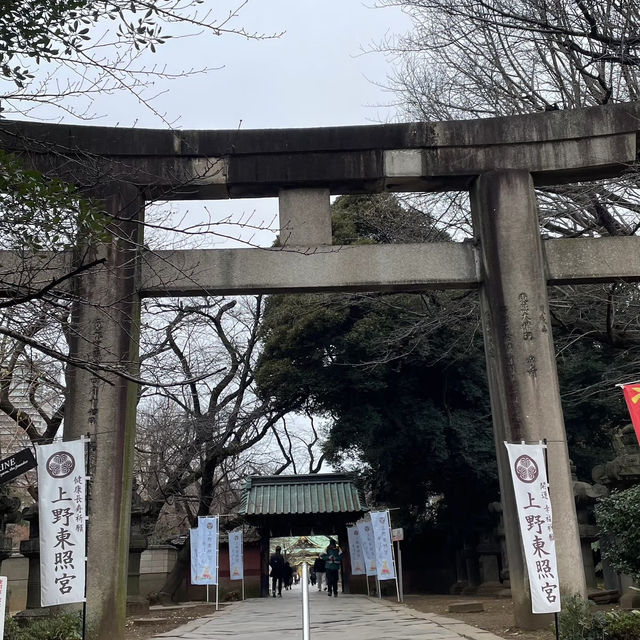 🌸東京上野公園新生｜春日限定的浪漫重啟🌿
