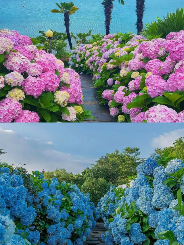 濟州島的美景美得令人窒息