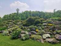 Dream Day at Chenshan Botanical Gardens