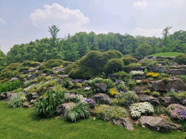 Dream Day at Chenshan Botanical Gardens