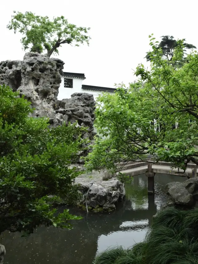 探秘古典園林，邂逅環秀山莊的靜謐之美！