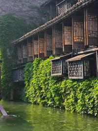 Wuzhen Xizha Scenic Area 🛶🌳🇨🇳
