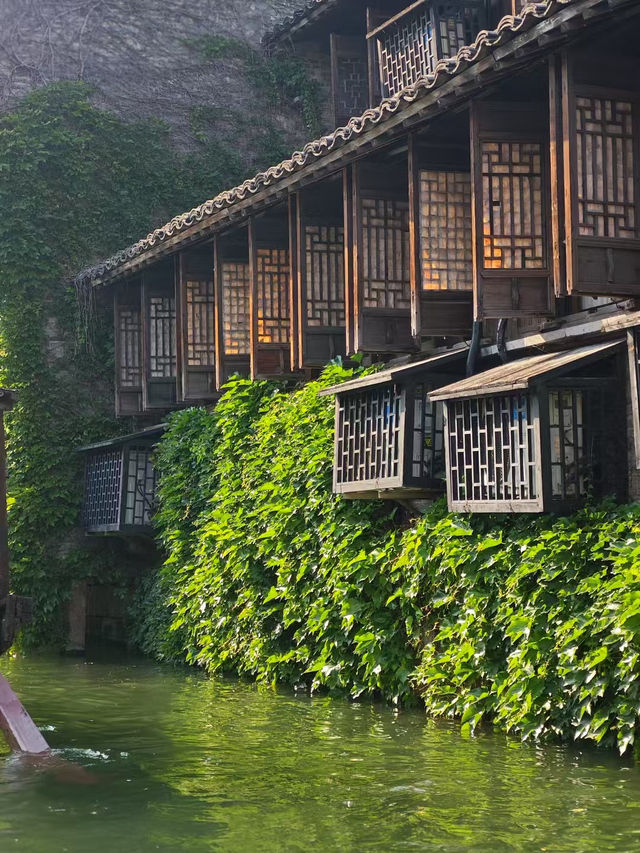 Wuzhen Xizha Scenic Area 🛶🌳🇨🇳