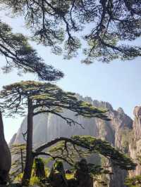 Huangshan - the loveliest mountain of China 🇨🇳 ⛰️