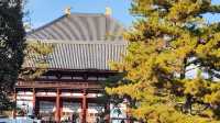 奈良東大寺，千年古剎的寂靜詩篇