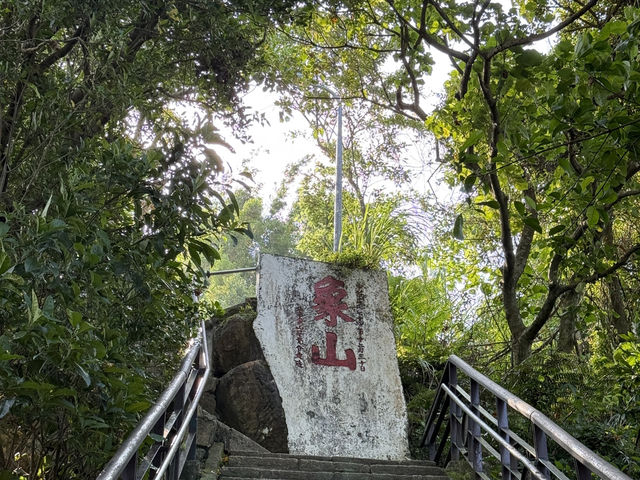 The Best View Of Taipei, Elephant Mountain! Free and convenient ( it’s a must do)