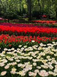 庫肯霍夫公園