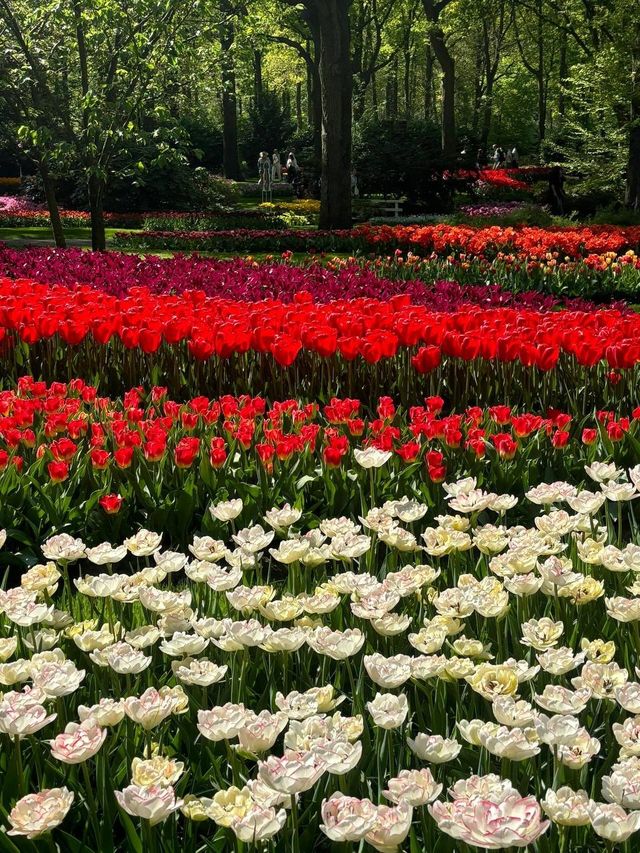 庫肯霍夫公園
