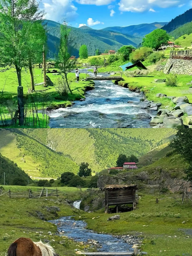 接下來的川西，是浪漫的俄色花海