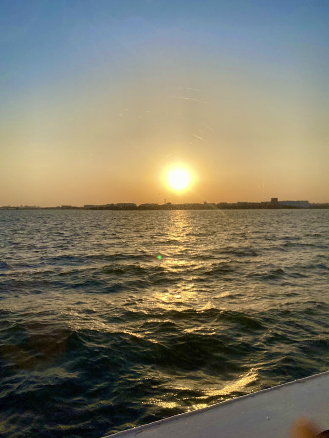 東京灣✨ 海上遊輪浪漫饗宴