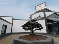Suzhou Museum 🖼️