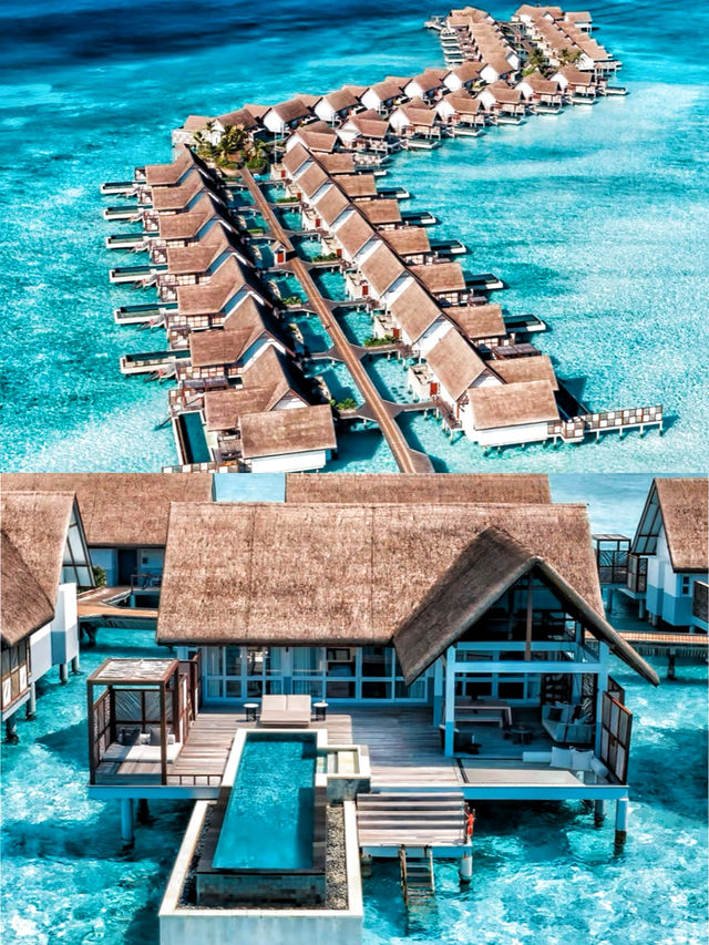 馬爾代夫庫達呼拉島四季度假酒店 跳進海島的夏天