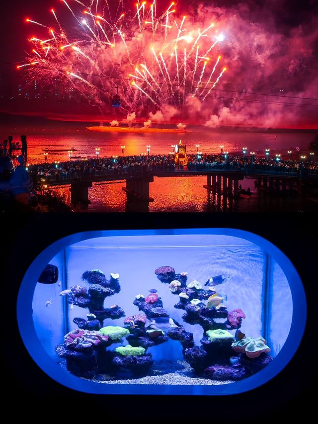 北京to上海海昌海洋公園 | 打工仔放電攻略
