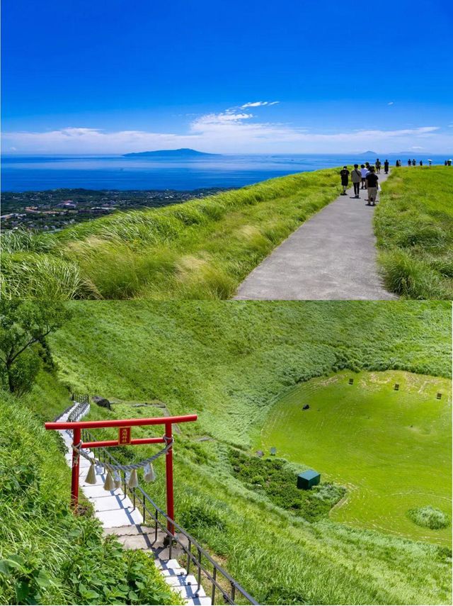 懶人福音！躺玩伊豆抹茶山海岸無腦跟遊