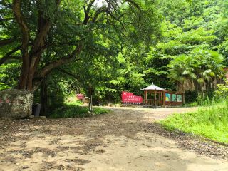 Exploring Wenjiashan Village in Qingliu
