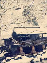 東京近郊的絕美日式溫泉秘境——寶川溫泉汪泉閣
