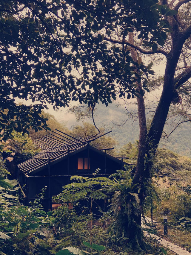 隱世溫泉秘境｜台北馥森阪治Trio溫泉體驗