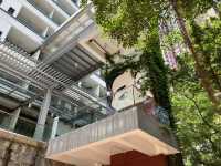  Hong Kong’s Free Creative Playground: PMQ!