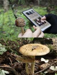 喺雨崩除咗行山，仲有咩隱藏玩法？