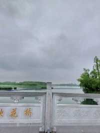 🌸 《夢回紅樓・上海大觀園》