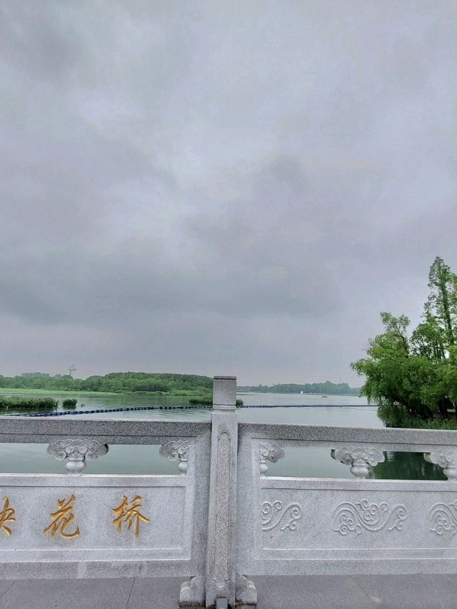 🌸 《夢回紅樓・上海大觀園》