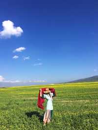 青海湖油菜花旅遊攻略｜邂逅金黃花海