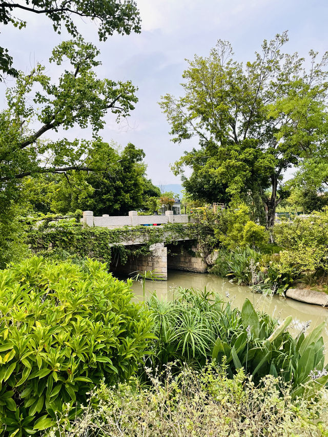 傍晚時分嘅梁厝古村