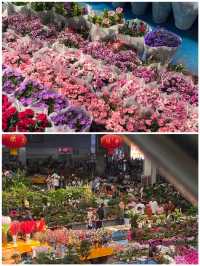 雲南鮮花市場花海裡走走全身心舒爽真美好