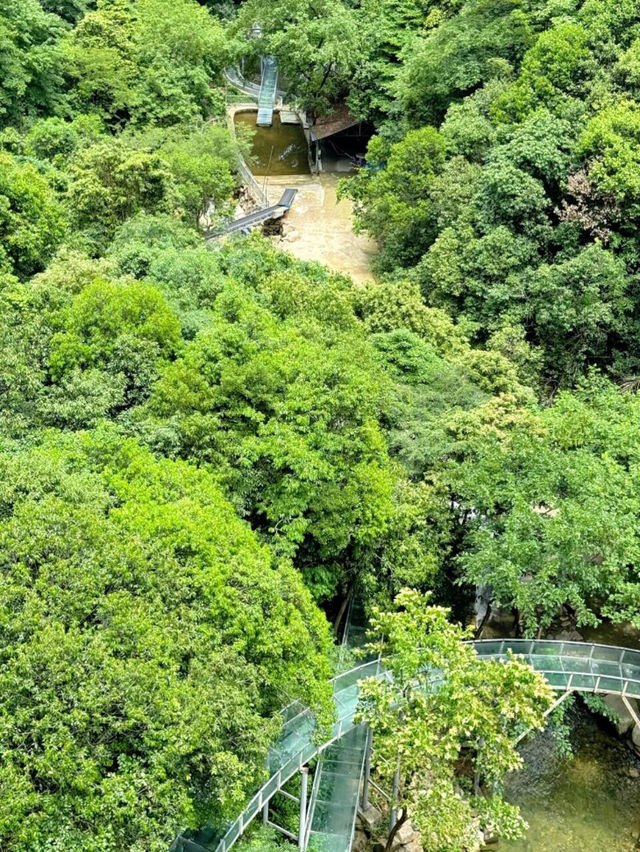 🌊為了這場漂流，我願意衝杭州桐廬1000次！🔥