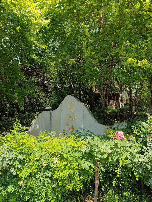 穿越金嶺山～