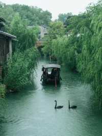 可惜你不來江南，不知道江南煙雨有多浪漫