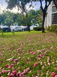炎炎夏日  就嚟三亞  避暑度假 快樂逍遙