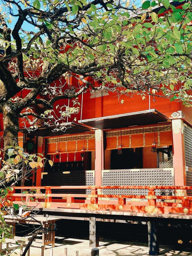 【東京の隠れ家スポット：根津神社で春の杜鵑花に癒されよう】*
