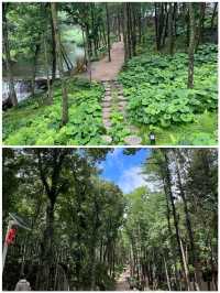 白雲山風景區景色優美天然氧吧仙境之地美極了