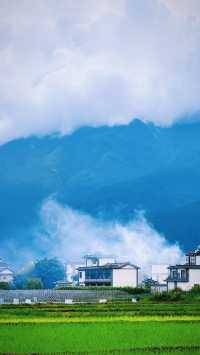 簡直靚到似漫畫入面嘅春天